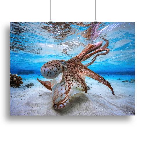 Dancing Octopus Canvas Print or Poster