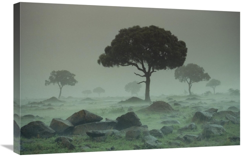 Global Gallery GCS-396140-2030-142 20 x 30 in. Rain Storm on the Seren