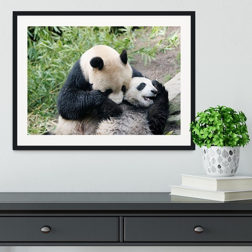 Panda bear and her cub Framed Print