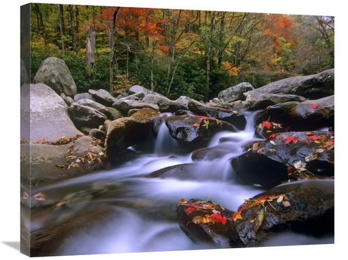 Global Gallery GCS-397203-2228-142 22 x 28 in. Little Pigeon River Cas