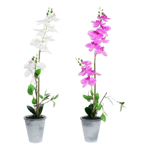 Decorative Plant DKD Home Decor Stoneware Orchid 21 x 21 x 82 cm (2