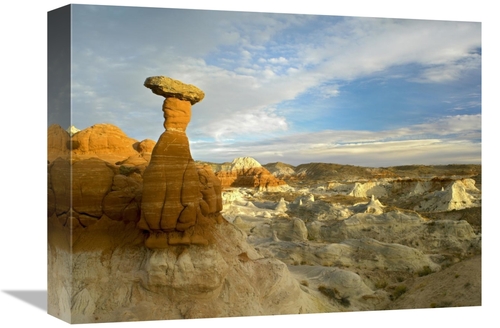 Global Gallery GCS-452133-1216-142 12 x 16 in. Toadstool Caprocks,