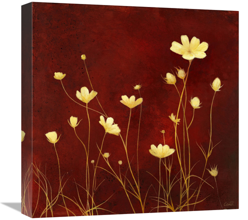 Global Gallery GCS-137416-1818-142 18 x 18 in. Flores En El Campo II A