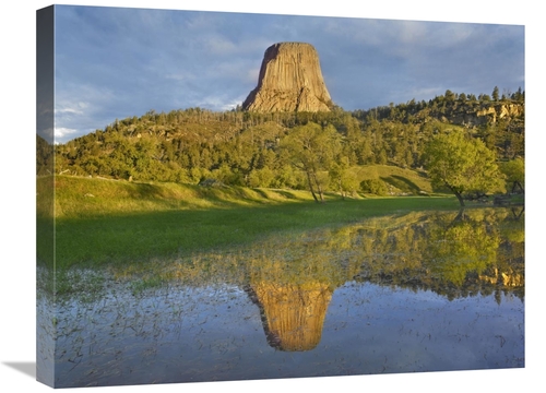 Global Gallery GCS-397170-1824-142 18 x 24 in. Devils Tower National M