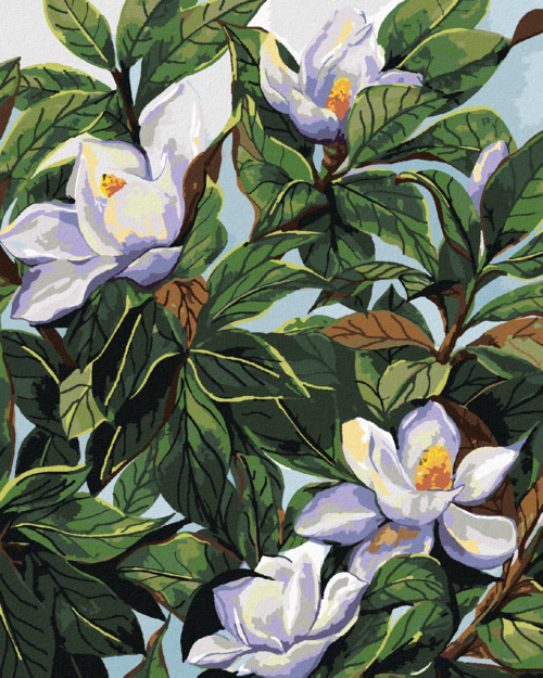 Paint by Numbers - WHITE MAGNOLIA FLOWERS AND LEAVES (ALEXANDRIA