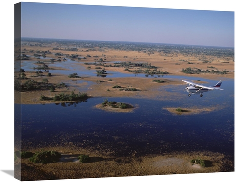 Global Gallery GCS-452364-2228-142 22 x 28 in. Flight Safari, Okav