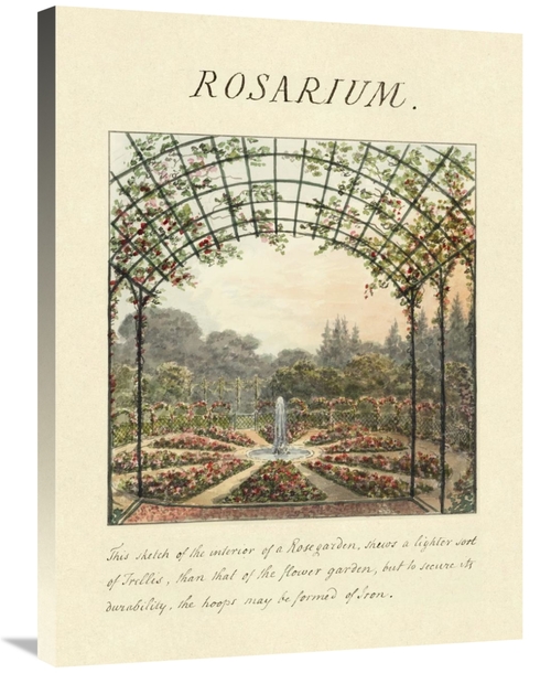 Global Gallery GCS-453918-2432-142 24 x 32 in. Rosarium, 1813 Art 