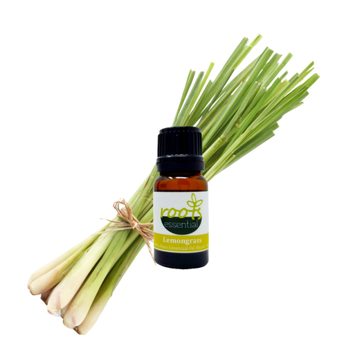 Lemongrass Essential Oil 10 ml