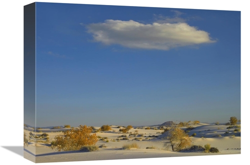Global Gallery GCS-396813-1216-142 12 x 16 in. Cloud Over White Sands 