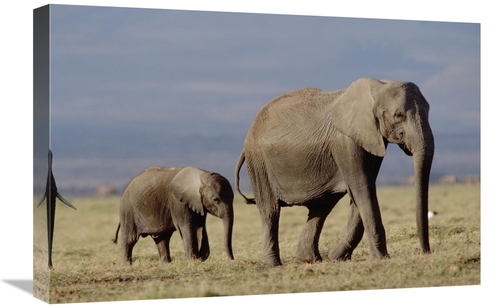 Global Gallery GCS-451977-1624-142 16 x 24 in. African Elephant Mother