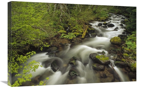 Global Gallery GCS-452874-2030-142 20 x 30 in. Still Creek in Spring&#