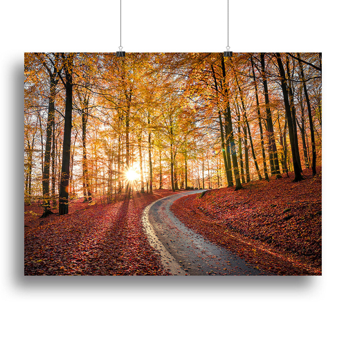Road In Sapderaysen Nationalpark Sweden Canvas Print or Poster