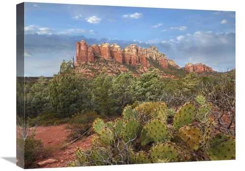 Global Gallery GCS-396053-1824-142 18 x 24 in. Coffee Pot Rock Near Se