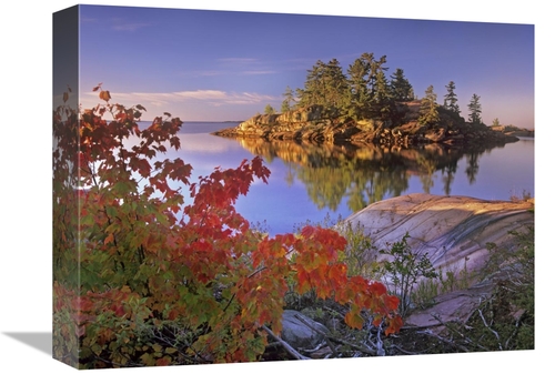 Global Gallery GCS-396786-1216-142 12 x 16 in. Island in Georgian Bay&