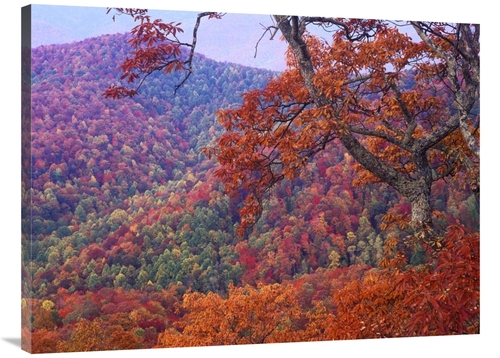 Global Gallery GCS-397021-3040-142 30 x 40 in. Blue Ridge Range with A