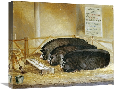 Global Gallery GCS-267532-22-142 22 in. Three Prize Winners Art Print 