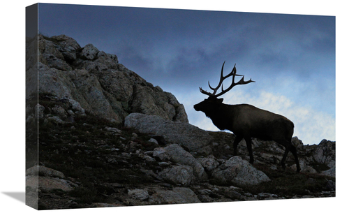 Global Gallery GCS-486401-22-142 22 in. Approaching Storm Art Print - 