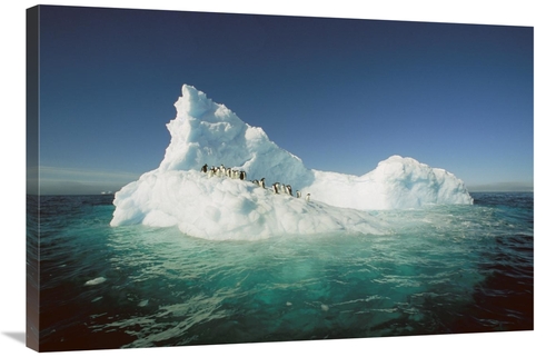 Global Gallery GCS-397792-2436-142 24 x 36 in. Adelie Penguin Group Ri