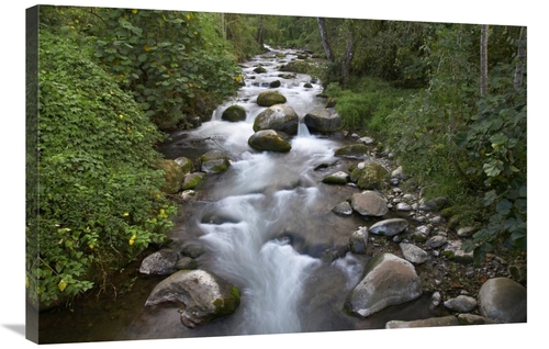 Global Gallery GCS-396272-2436-142 24 x 36 in. Savegre River Flowing T