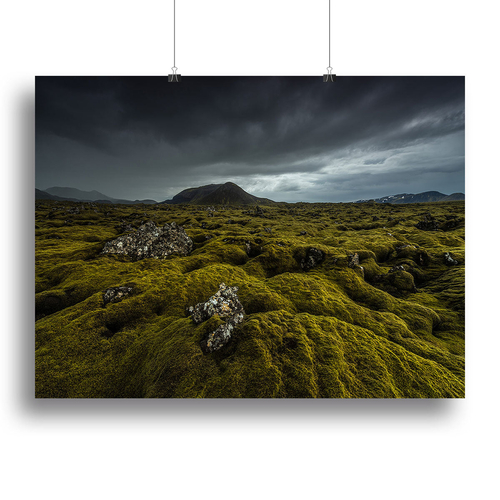 Green Carpet Canvas Print or Poster