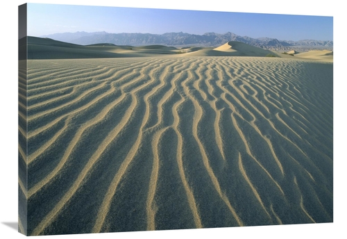 Global Gallery GCS-396650-2432-142 24 x 32 in. Mesquite Flat Sand Dune
