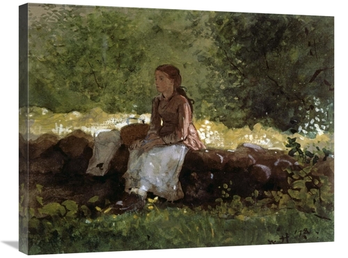 Global Gallery GCS-278027-30-142 30 in. On the Fence Art Print - Winsl