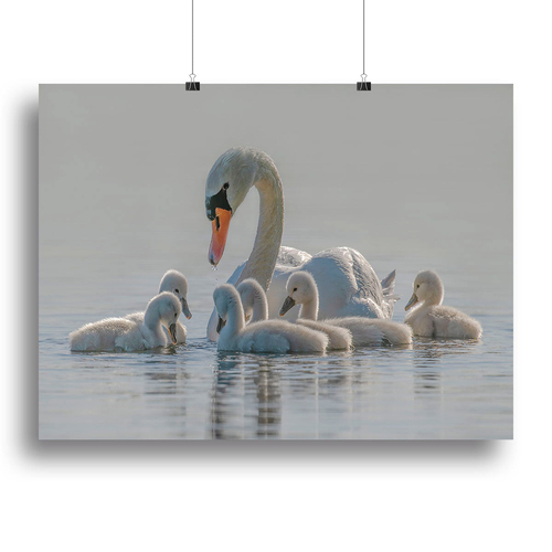 Mom is the whole world for babies. Canvas Print or Poster