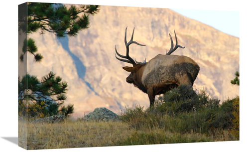 Global Gallery GCS-486475-22-142 22 in. Towards the Sunset Art Print -