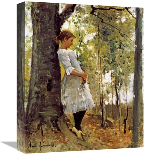 Global Gallery GCS-268263-16-142 16 in. in the Woods Art Print - Ameli