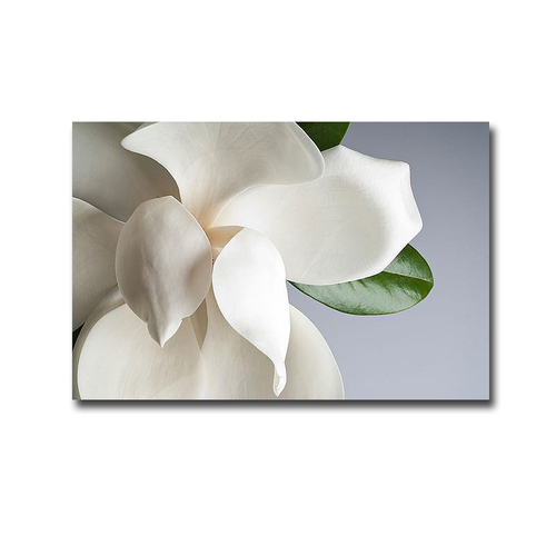 Artistic Home Gallery 1218785IG Magnolia by Photo Studio Premium Galle