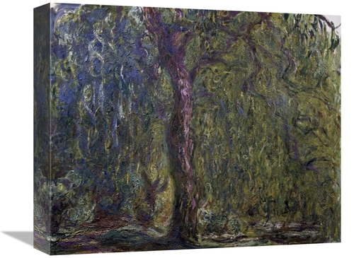 Global Gallery GCS-278747-16-142 16 in. Weeping Willow - Saule pleureu