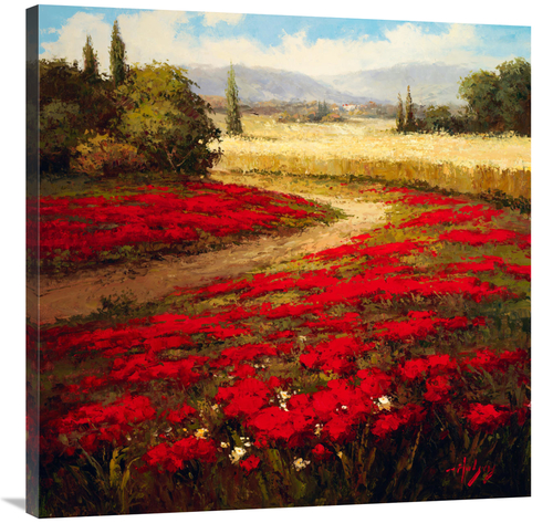 Global Gallery GCS-132507-3636-142 36 x 36 in. Red Poppy Trail Art Pri