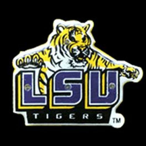 Blinkee 2450000 Louisiana State University Officially Licensed Flashin