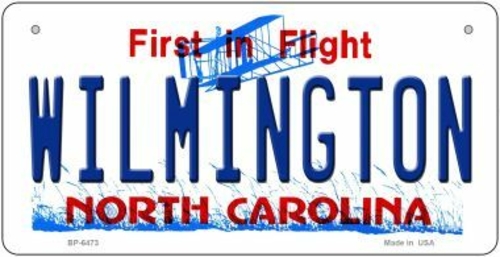 Smart Blonde BP-6473 3 x 6 in. Wilmington North Carolina Novelty Metal