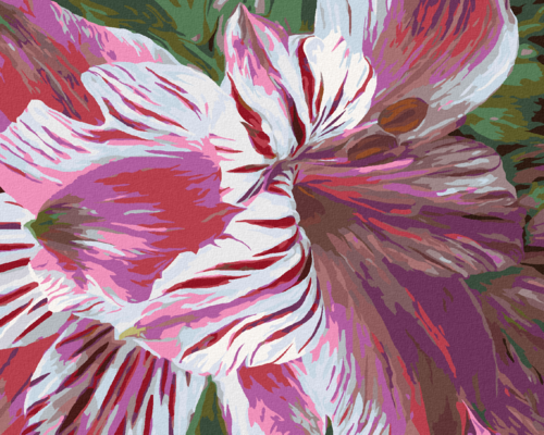 Zuty - Paint by Numbers - PINK LILIES (CAROL CAVALARIS), 40x50 cm