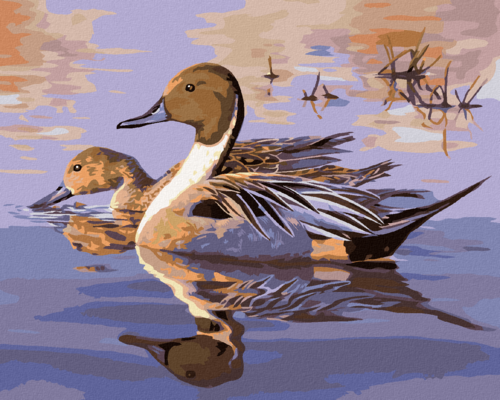 Zuty - Paint by Numbers - DUCK ON THE LAKE (DARRELL BUSH), 40x50 cm