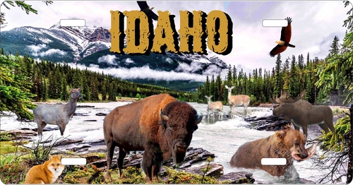 License Plate Travel Poster Art Wilf Life Idaho