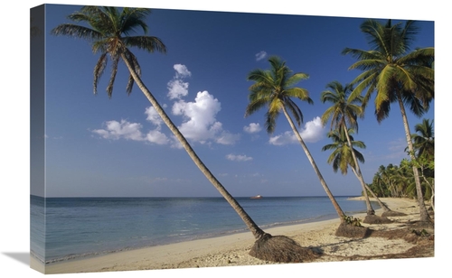 Global Gallery GCS-452419-1624-142 16 x 24 in. Coconut Palm Trees & Be