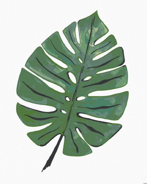 Paint by Numbers - MONSTERA LEAF (ALEXANDRIA GILBERT)