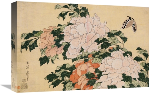 Global Gallery GCS-281595-22-142 22 in. Pink & Red Peonies Art Print -