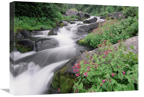 Global Gallery GCS-396995-1824-142 18 x 24 in. Paradise River Surround