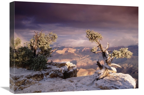 Global Gallery GCS-397053-1824-142 18 x 24 in. South Rim of Grand Cany