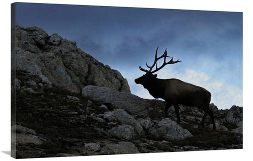 Global Gallery GCS-486401-40-142 40 in. Approaching Storm Art Print - 