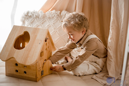 QToys Australia (USA) Wooden Barn House