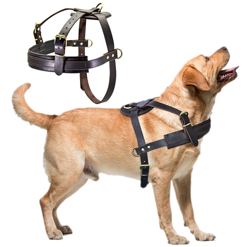 Genuine Leather Dog Harness Brown Soft Walking