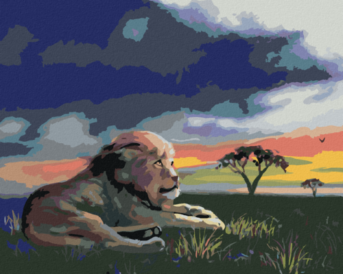 Zuty - Paint by Numbers - LION ON THE GRASS AT SUNSET (D. RUSTY RUST),