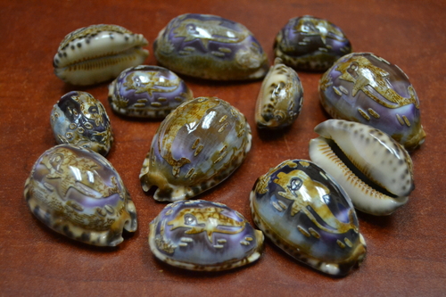 12 Pcs Purple Carved Dolphin Cowrie Shell