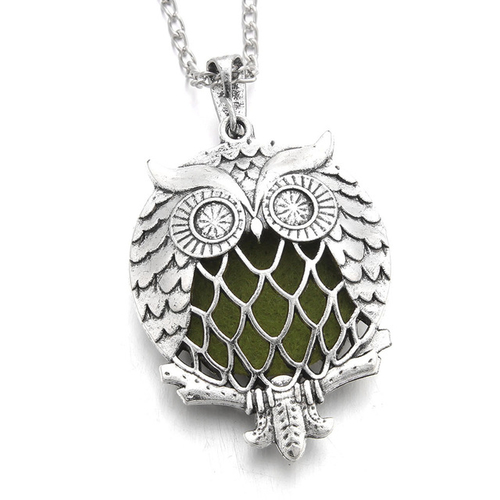 1Pcs Newest Arrival Charming Owl Slide Magnetic