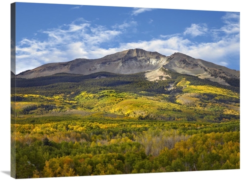 Global Gallery GCS-396799-3040-142 30 x 40 in. Aspen Forest & East Bec