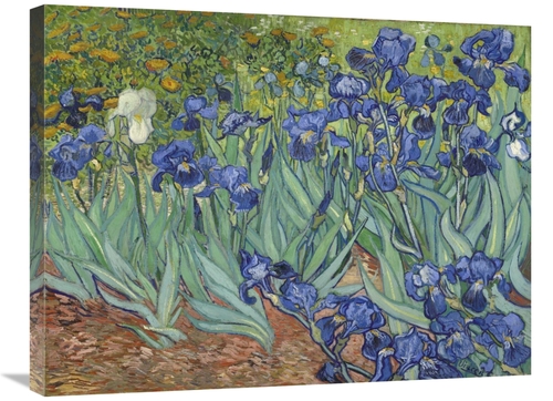 Global Gallery GCS-281275-30-142 30 in. Irises, 1889 Art Print - V